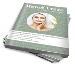 guide-gratuit-remeterre