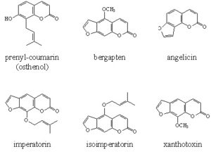 furocoumarines