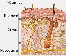 melanine