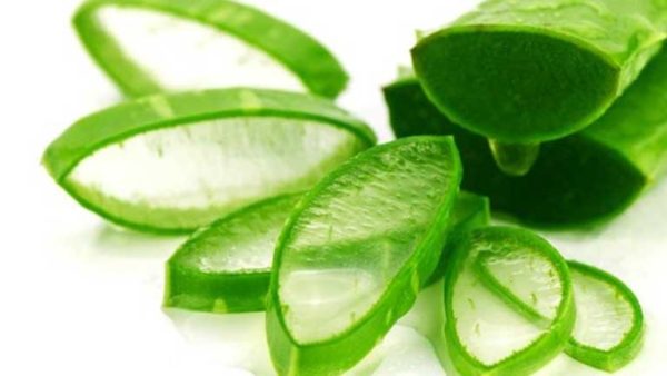 Comment reconnaître un gel d’aloe vera de qualité ?