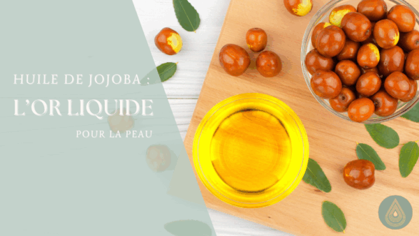 Huile de jojoba : l’or liquide pour la peau !
