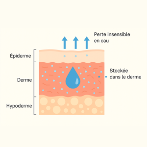 peau déshydratee causes et solutions naturelles